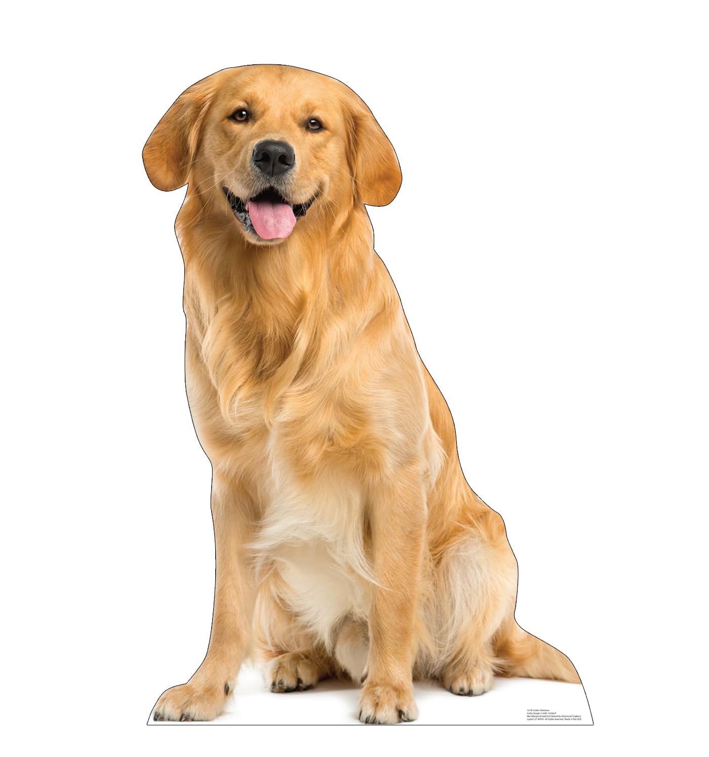 Cardboard People Golden Retriever Life Size Cardboard Cutout Standup - Made in USA