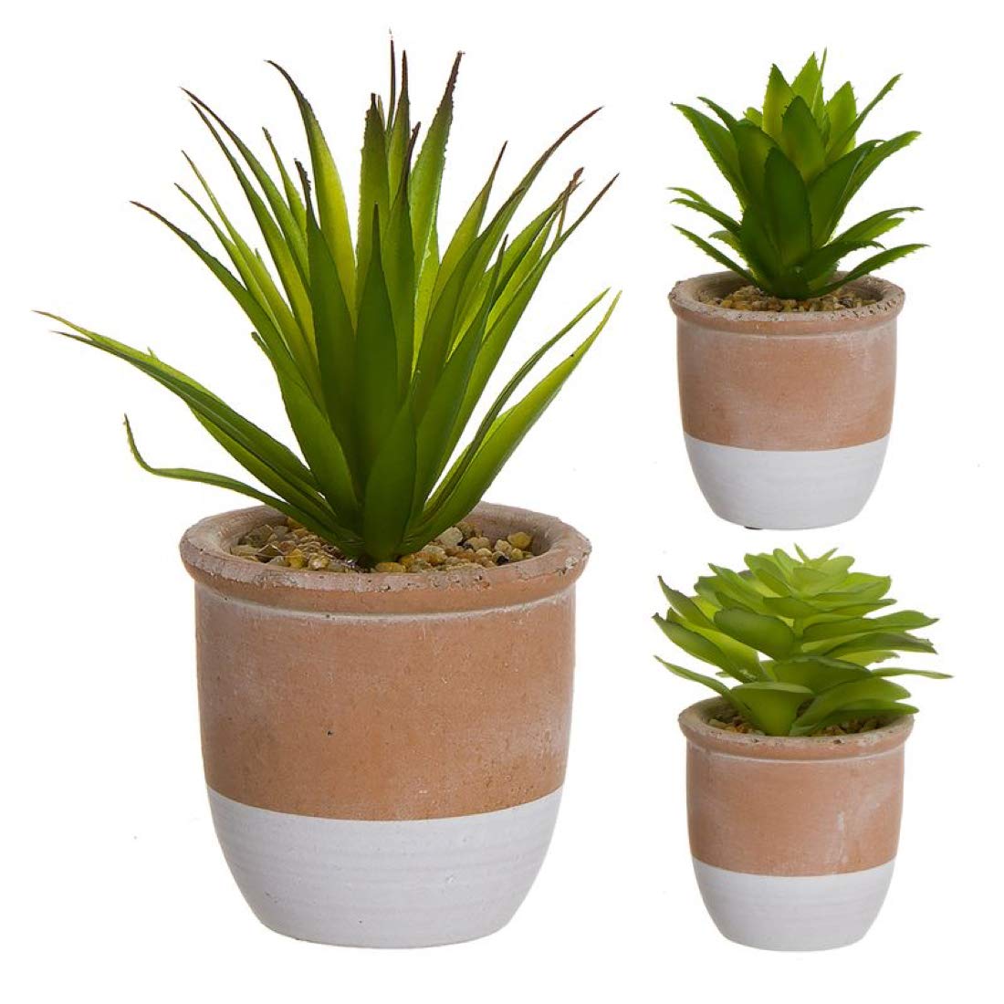 Statuetta decorativa, 3 cactus, in terracotta, 18 cm