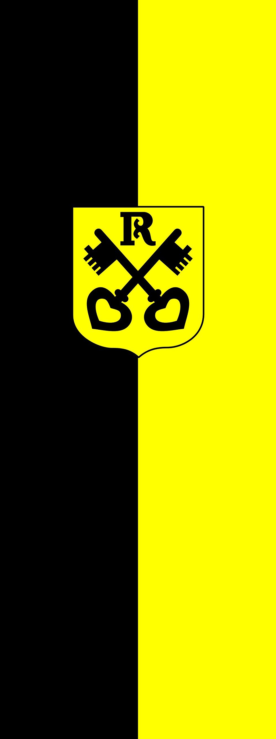 Drapeau Renningen de 6m² en coupe verticale 400x150cm aux finitions renforcées