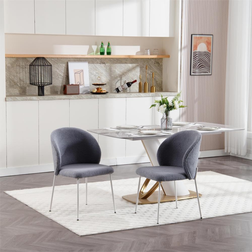 Heng Ming Iron-Footed Dining Chair with Adjustable Foot Pads. Suitable for Dining Room, Living Room, Study Room,Set of 2
