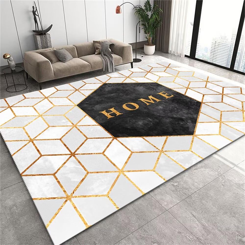 Tapis de salon lavable 250x300 résistant aux taches pour intérieur moderne