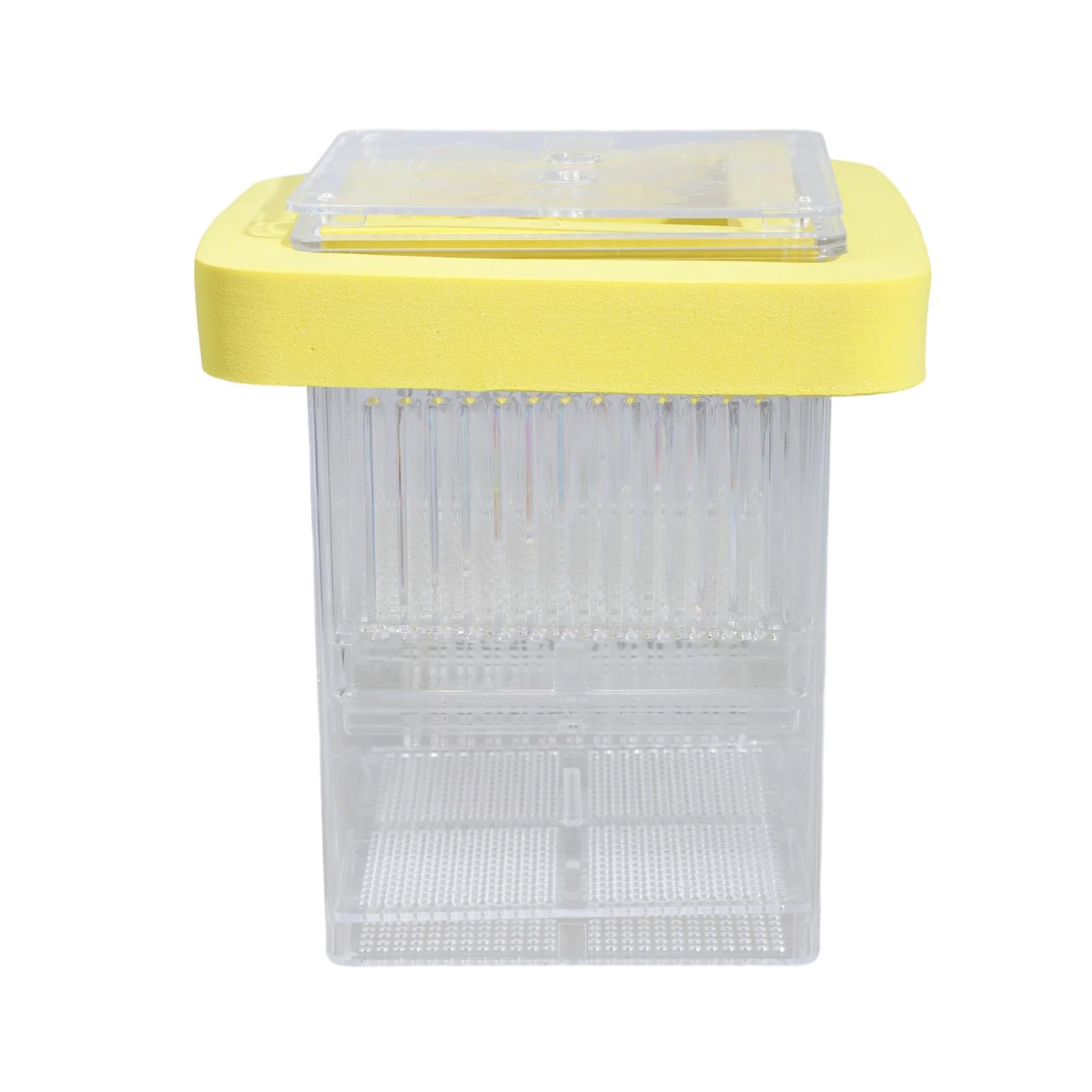 Kalttoy FishTank Separation Breeder Box Clear Floating Breeding Isolation Box Aquarium Small Hatchery Incubator Acrylic Fish Hatchery Container