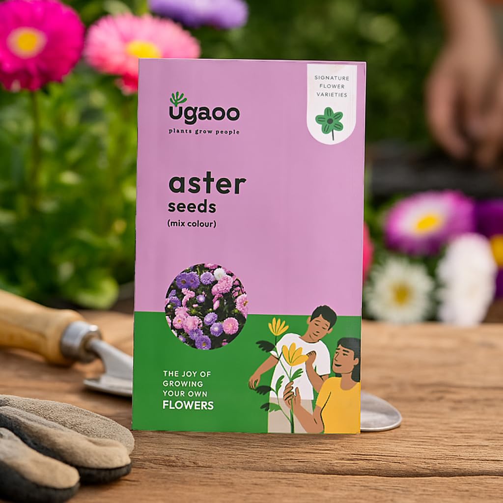 UGAOO Aster Flower Seeds - Multicolor Pack of 200 -1