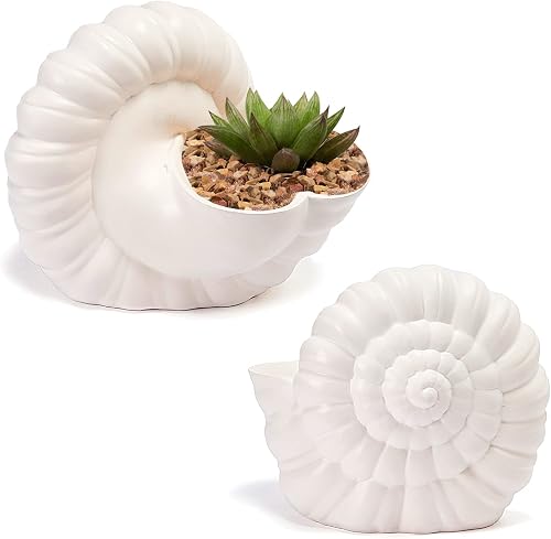 GUTE Seashell Succulent Planter Pot, Bowl & Vase, Handmade Conch Detailed White Planter, Large 9.5" Flower Plant Vase, Carved Beach Shell Decor - & Indoor Plants, Gift for Mom