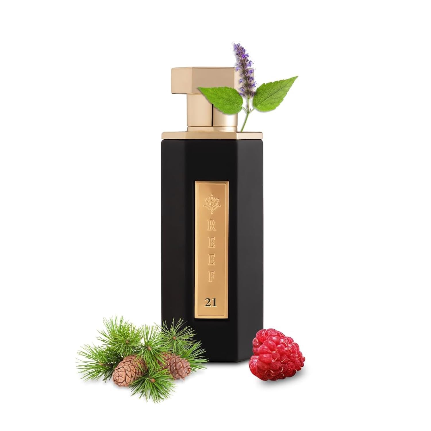 REEF 21 100ml EDP — Red Berries, Cedarwood & Patchouli — Unisex Perfume