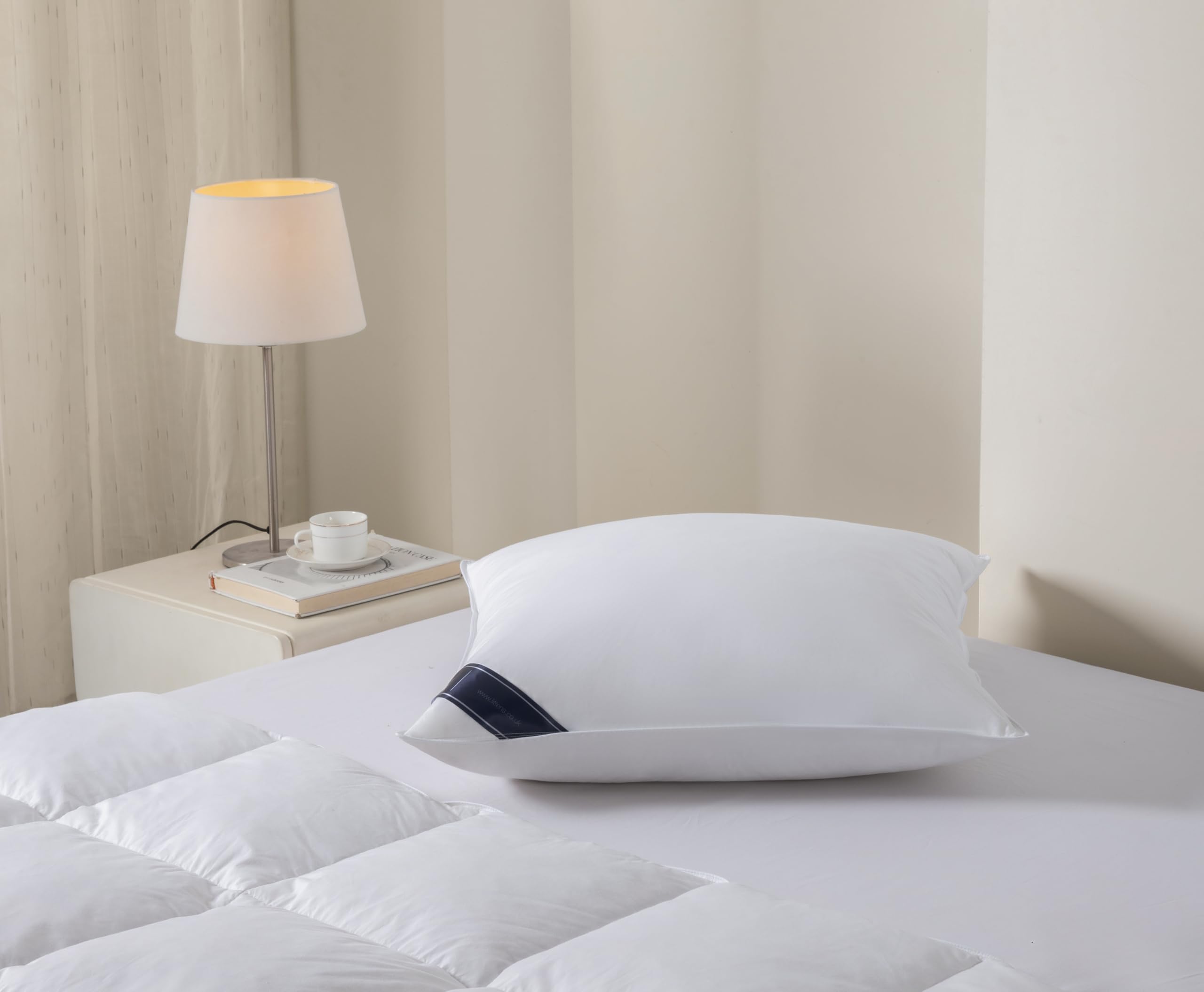 Littens Extra Filled 65cm x 65cm Luxury European Continental White Duck Feather & Down Square Pillow 230TC 100% Cotton Casing, Down Proof (26" x 26")