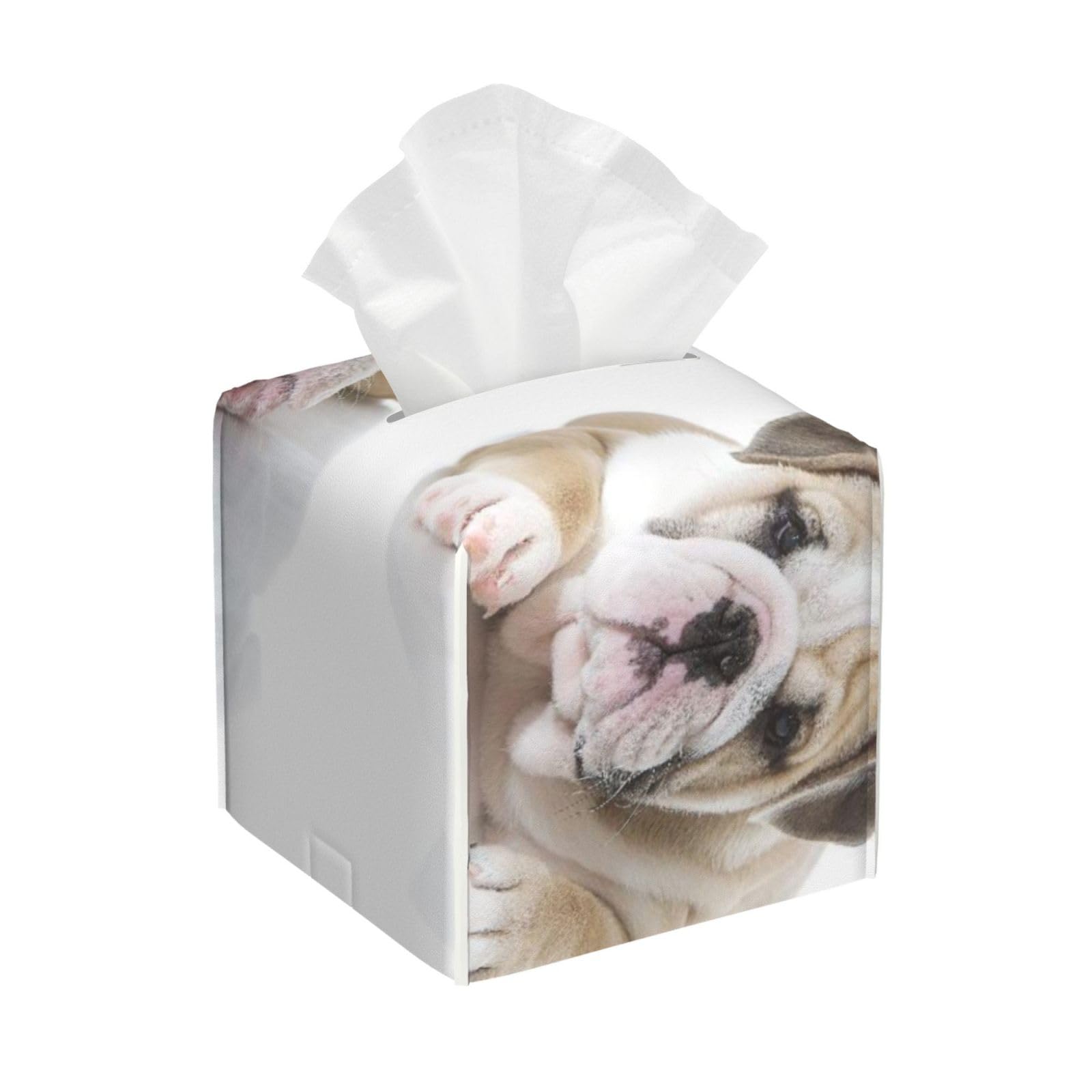 Cute English Bulldog Puppies Playing Isolated PVC Cube Tissue Pack for Home Office Bathroom Use