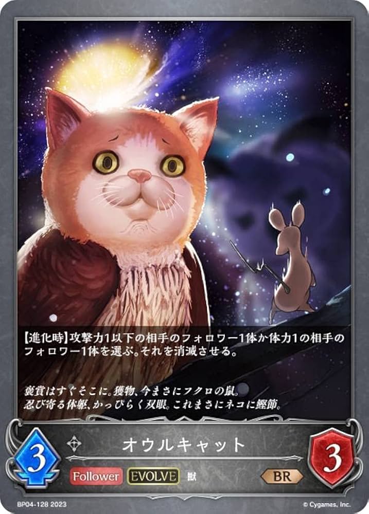 シャドウバースエボルヴ レオニダス プロモ Amazon.co.jp: シャドウバースエボルヴ レオニダス プロモ