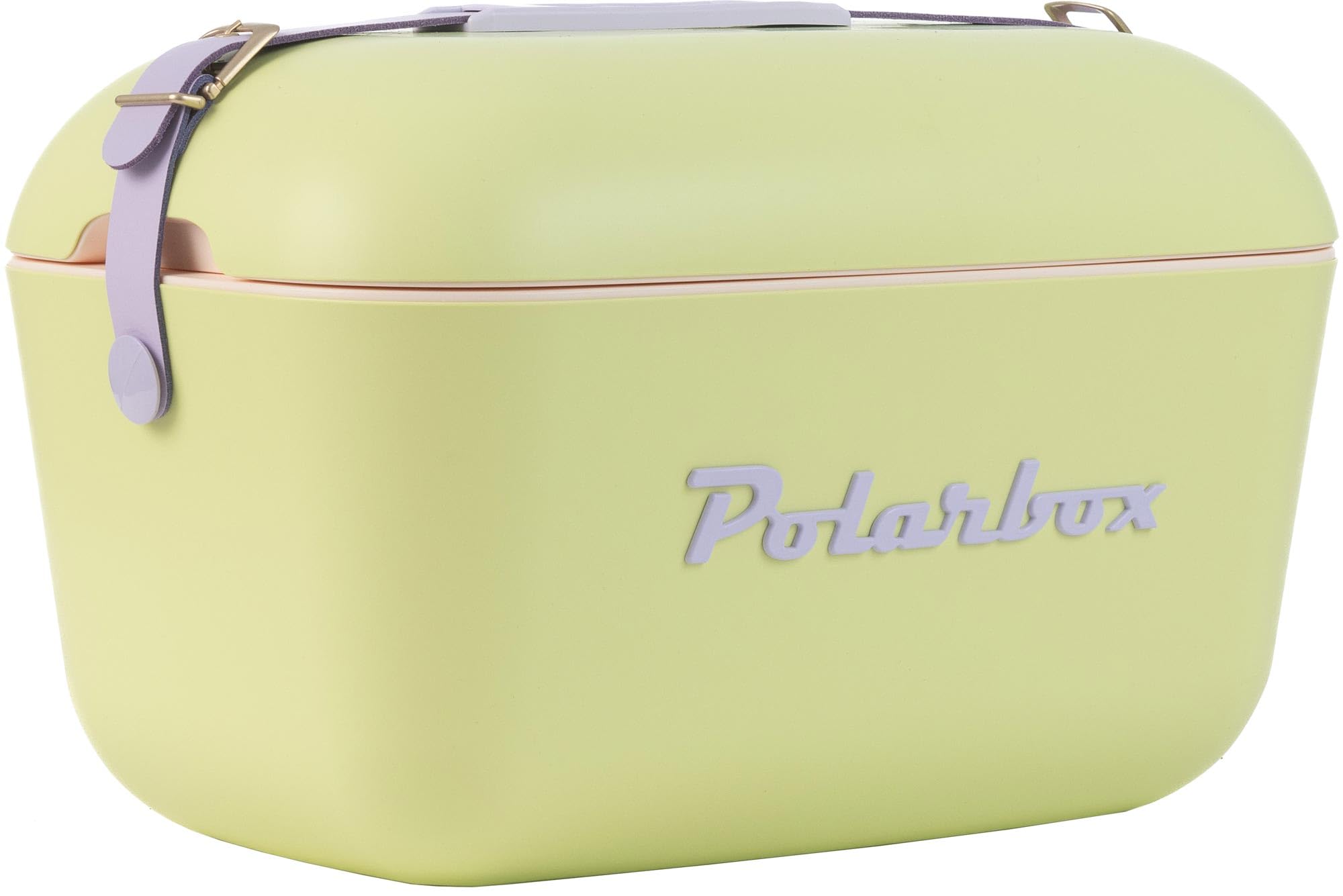 Polarbox Nevera CoolerBag 20L Verde Lima - Pop con Asa Malva
