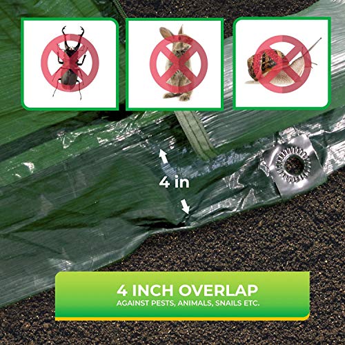 BioGreen Folientunnel SUPERDOME | 300 cm Länge | Schattier-Folie im Dach | schützt vor Frost & Hitze | 2 Öffnungen mit Reißverschluss | 90 g/m² Folie