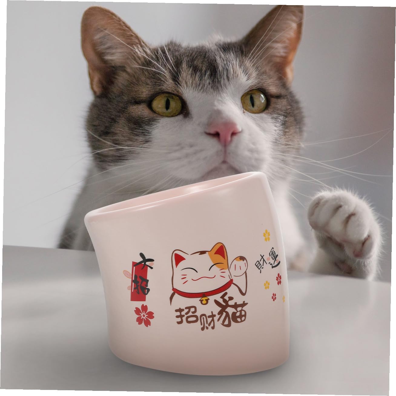 TOYANDONA Ceramic Elevated Cat Bowl Anti-Spill Pet Feeding Bowl with Neck Protection Pink Raised Kitten Feeder for Indoor Cats