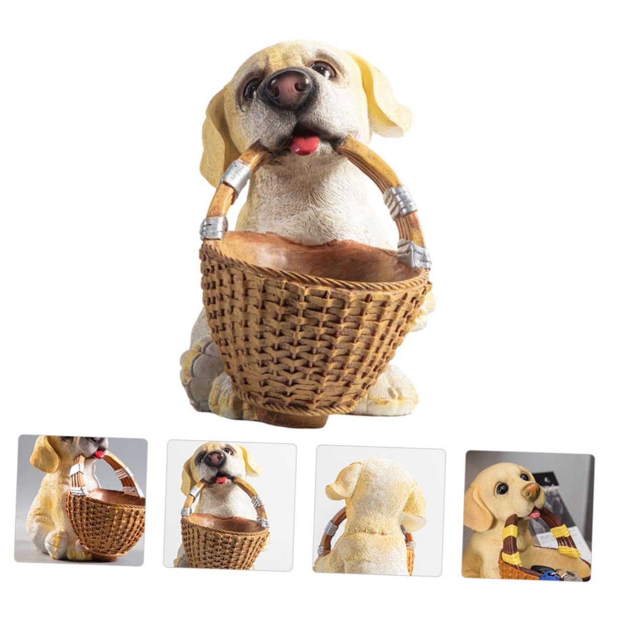 1 Pezzo Scatola Portaoggetti per Decorazione da Unica per Accessori e Gioielli Capacità Stoccaggio Idea per Amanti Animali
