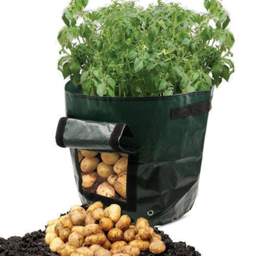 certainPL PE Grow Bags With Flap And Handles, Green, One Size, 1 Piece (B07G9K5T67) Amazon Price History, Amazon Price Tracker