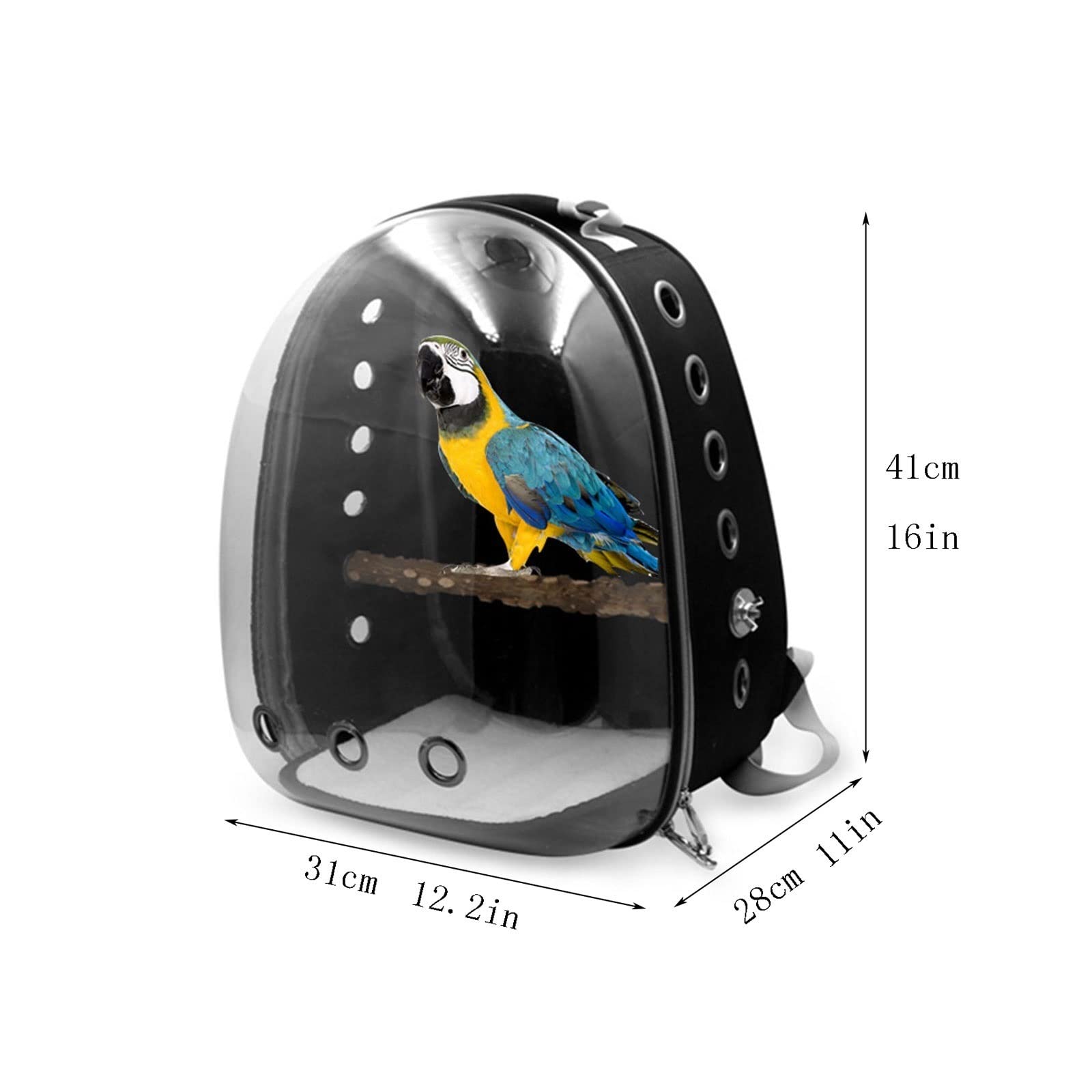 Amazon.com: ZCSO The Birdcage Parrot Light Backpack Pet Bird
