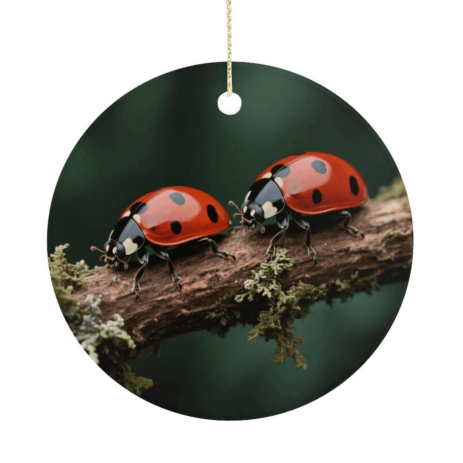 Personalized Christmas Ornaments 2025 Ceramic Hanging Ladybug Ornaments with Gold String Double-Sided Vintage Holiday Decorations for Tree Mantel Tabletop Xmas Party Favors
