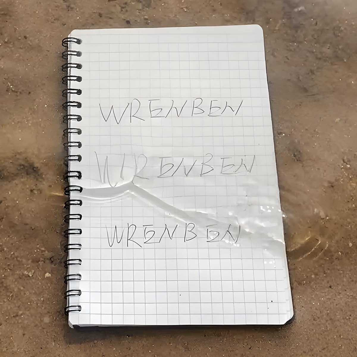 WRENBEN Wodoodporne notatniki spiralne z papierem kamiennym i okładką z PCW, odporny na warunki atmosferyczne, 100 stron, średni rozmiar podkładki Steno na każdą pogodę, do użytku na zewnątrz, 12 x 18