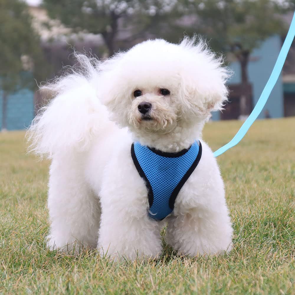 Kuber Industries Reflective Dog Harness with Adjustable Leash|Breathable Polyester Mesh Fabric with Top Carry Handle|Large Size|HAT-818|Comfortable No-Pull Grip|Quick Release Buckles|Blue (B0CWGB179W) Amazon Price History, Amazon Price Tracker