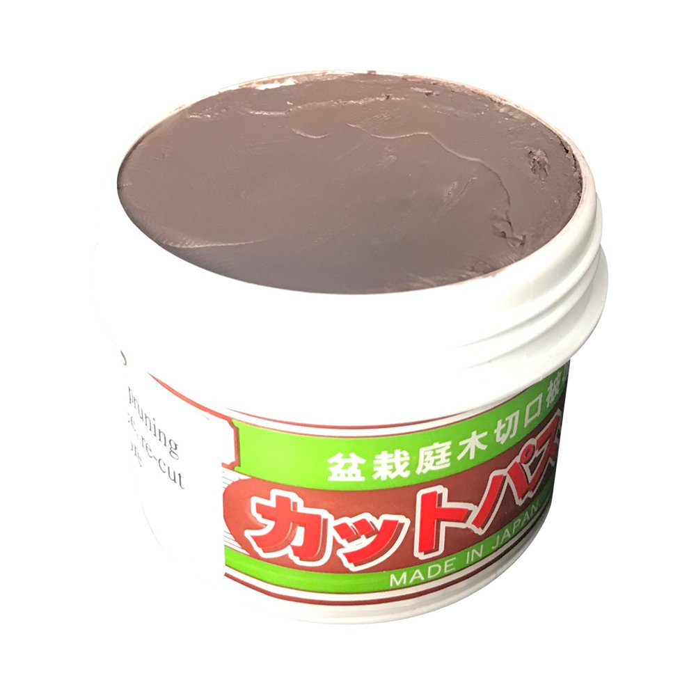 Mastice giapponese per latifoglie 160 gr