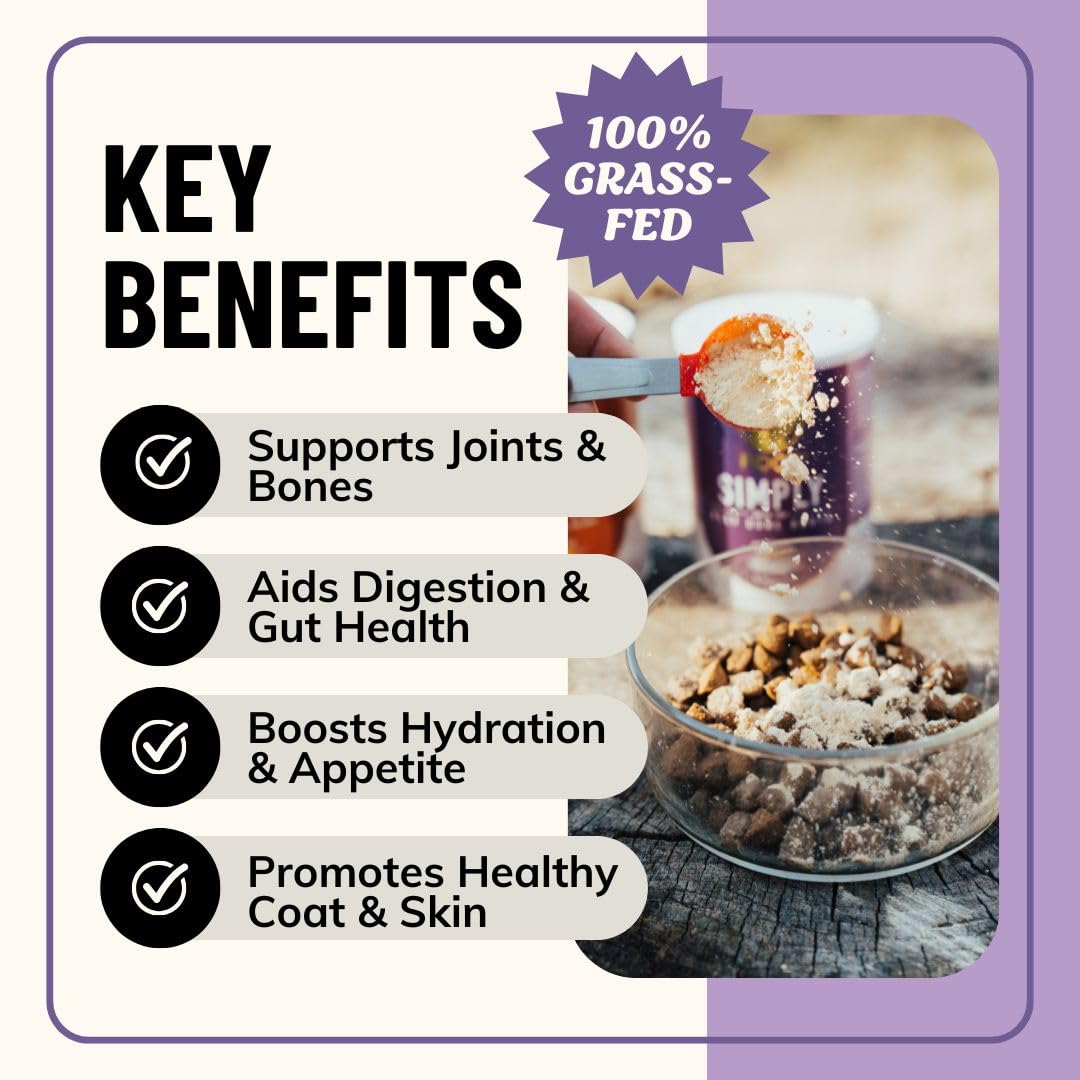 Fido's Grass-Fed Beef Bone Broth for Dogs 7oz with 94% Protein - Picky Eaters Human Grade Bone Broth Powder for Dogs - Made in USA - No Preservatives - Supports Joints + Gut Health - 60 Scoops