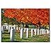 Never Forget by CATeyes, 22x32-Inch Canvas Wall Art