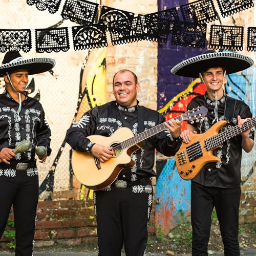 Image of VitalCozy 4 Pack 59 ft Mexican Papel Picado Banner Plastic Mexican Talavera Party Fiesta Banner Wedding Hanging Decorations for Cinco De Mayo Cielito Lindo Party Supplies(Black)