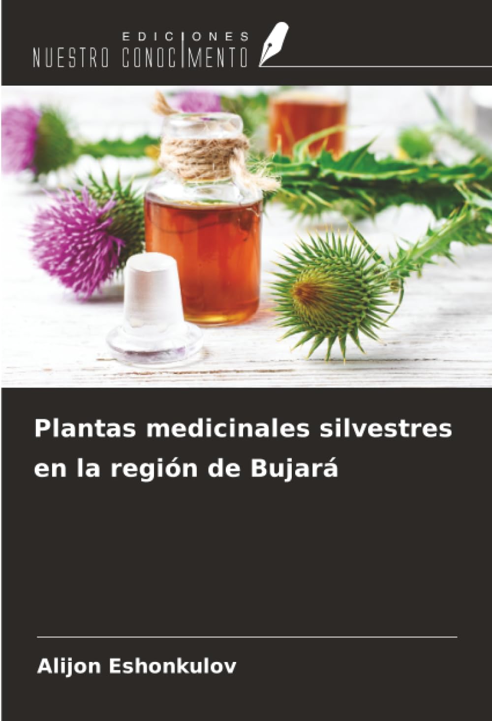 Plantas medicinales silvestres en la región de Bujará