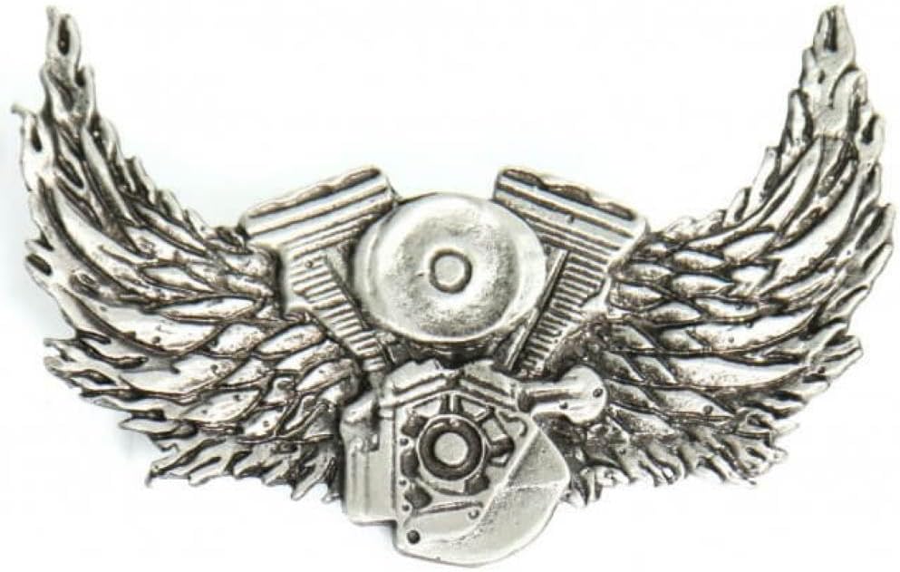 Motor and Wings Pin
