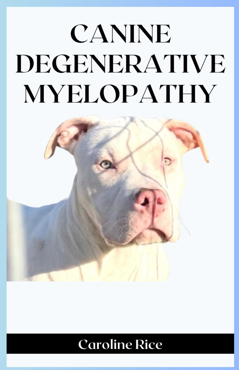 Canine Degenerative Myelopathy: Comprehensive Guide With Tips For Long Term Care