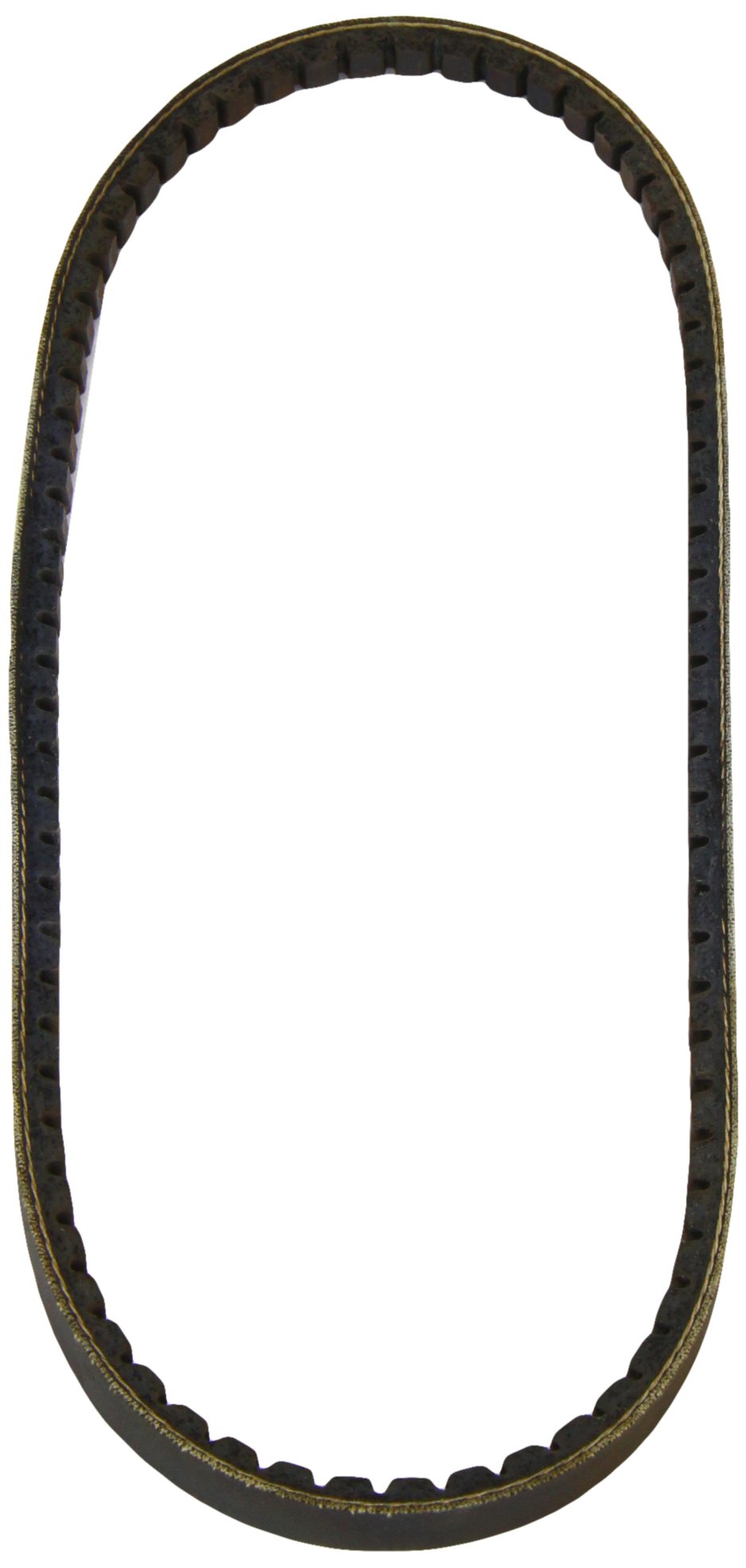 Dayco 11A0800C Drive Belt