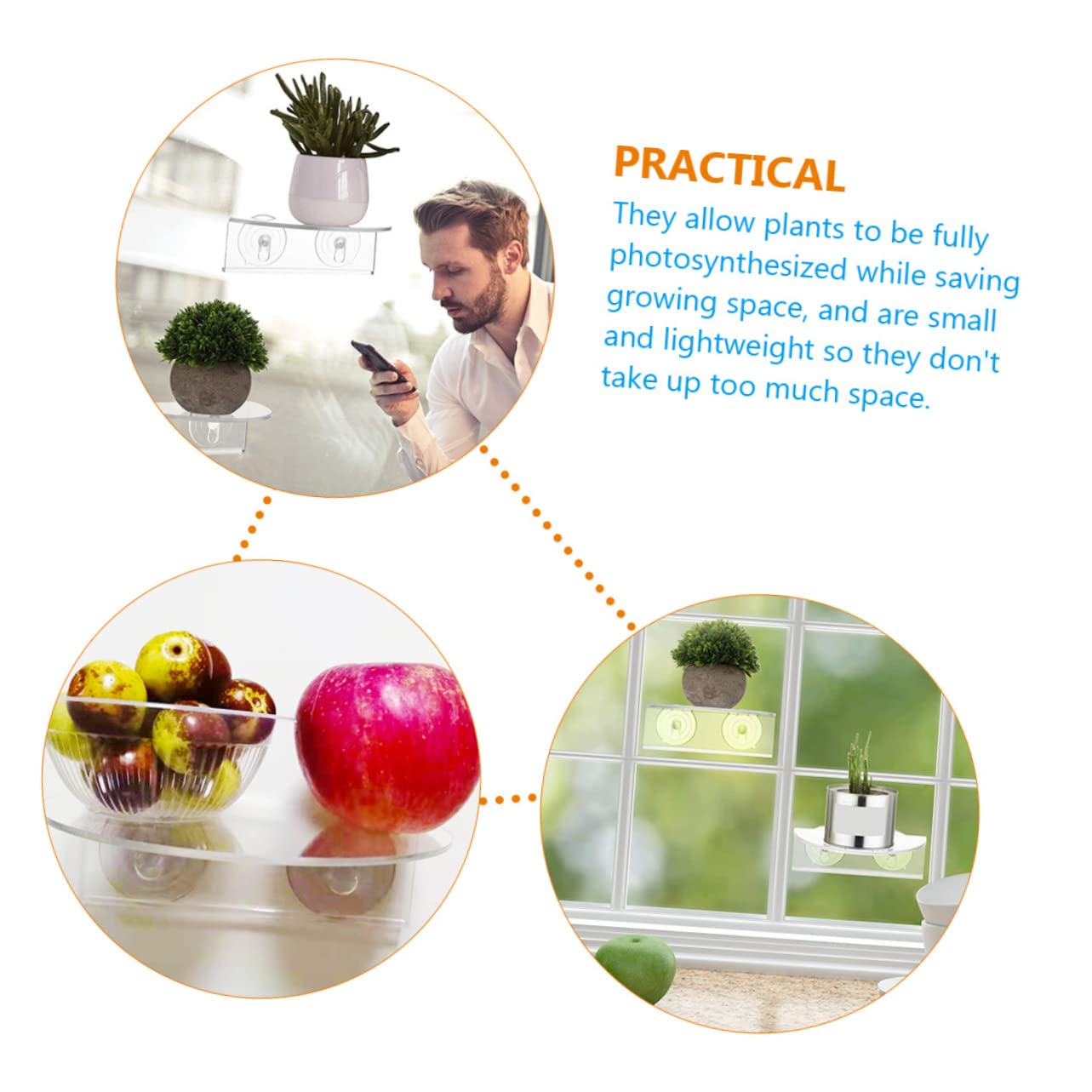 Sosoport 2pcs Window Garden Window Shelf for Plants Clear Acrylic Shelves, Suction Cup Indoor Plant Holder - Image 3