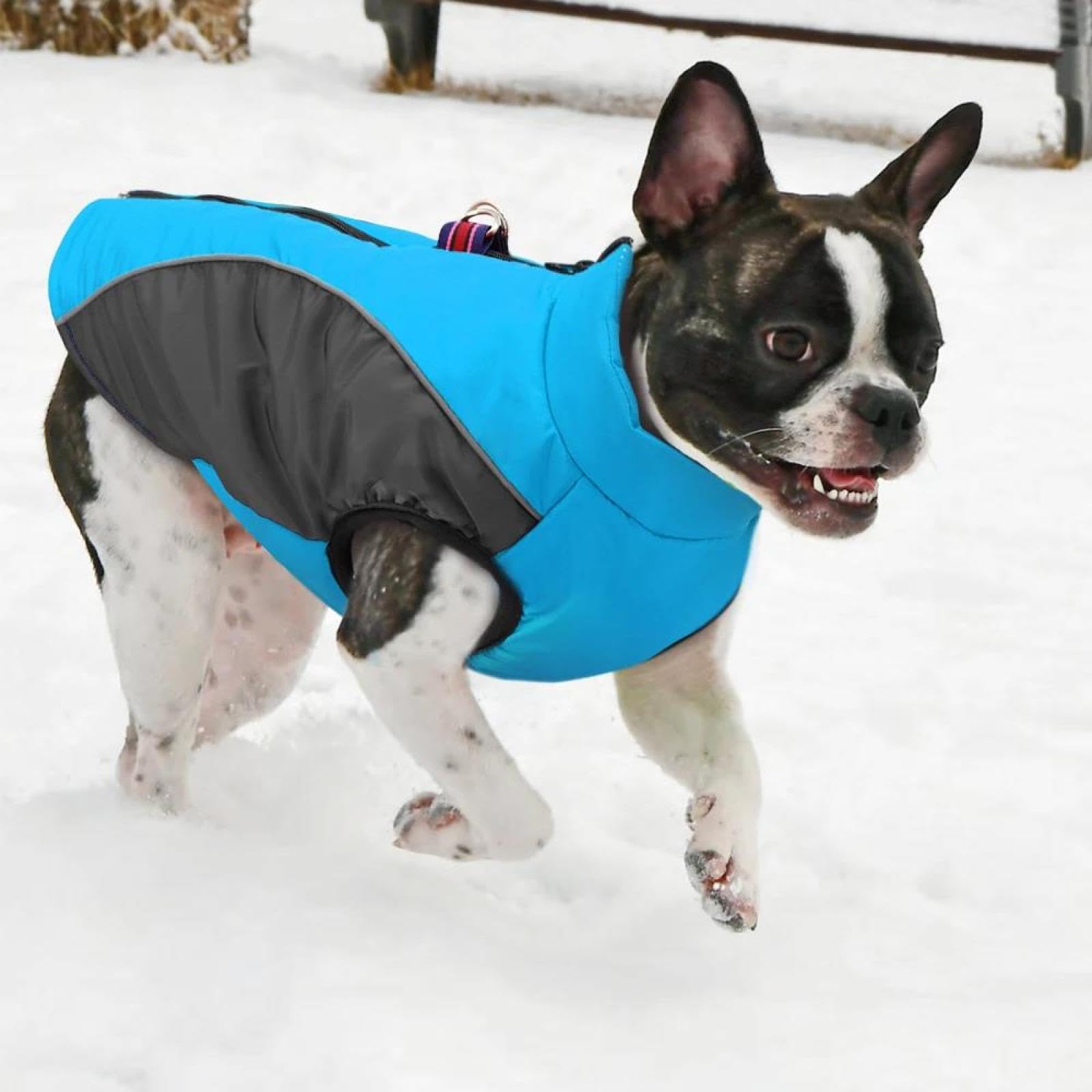 Winter Fleece Warm Lichtgewicht Rits Hondenjas Waterdicht Koudbestendige Chihuahua