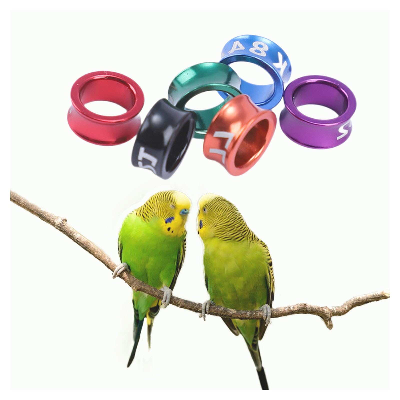 Anillos de identificación de aves para patas, bandas numeradas de aleación de aluminio para pinzas, 50 unidades