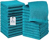 DAN RIVER 100% Cotton Washcloths 24 Pack Premium Quality Face and Body Cloth, Quick Dry and Highly A