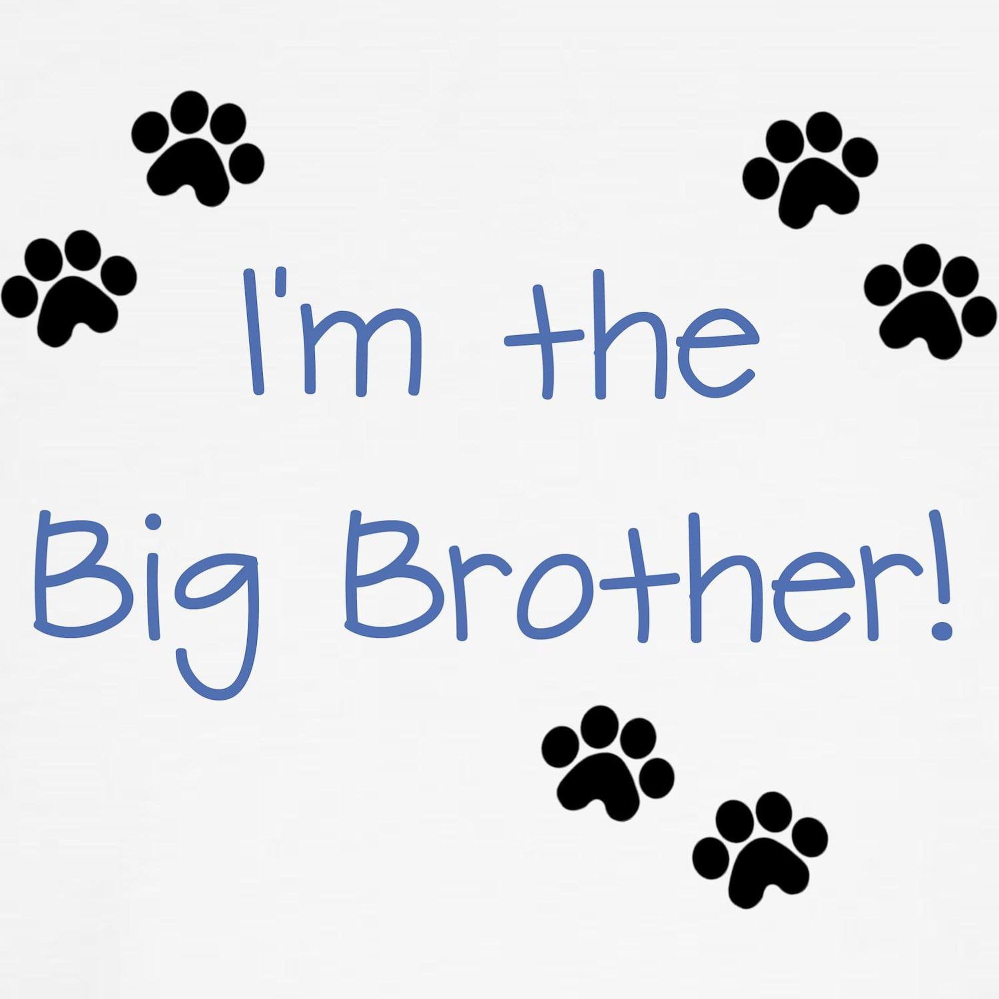 CafePress I'm The Big Brother Dog T Shirt Dog T-Shirt, Pet Clothing, Funny Dog Costume