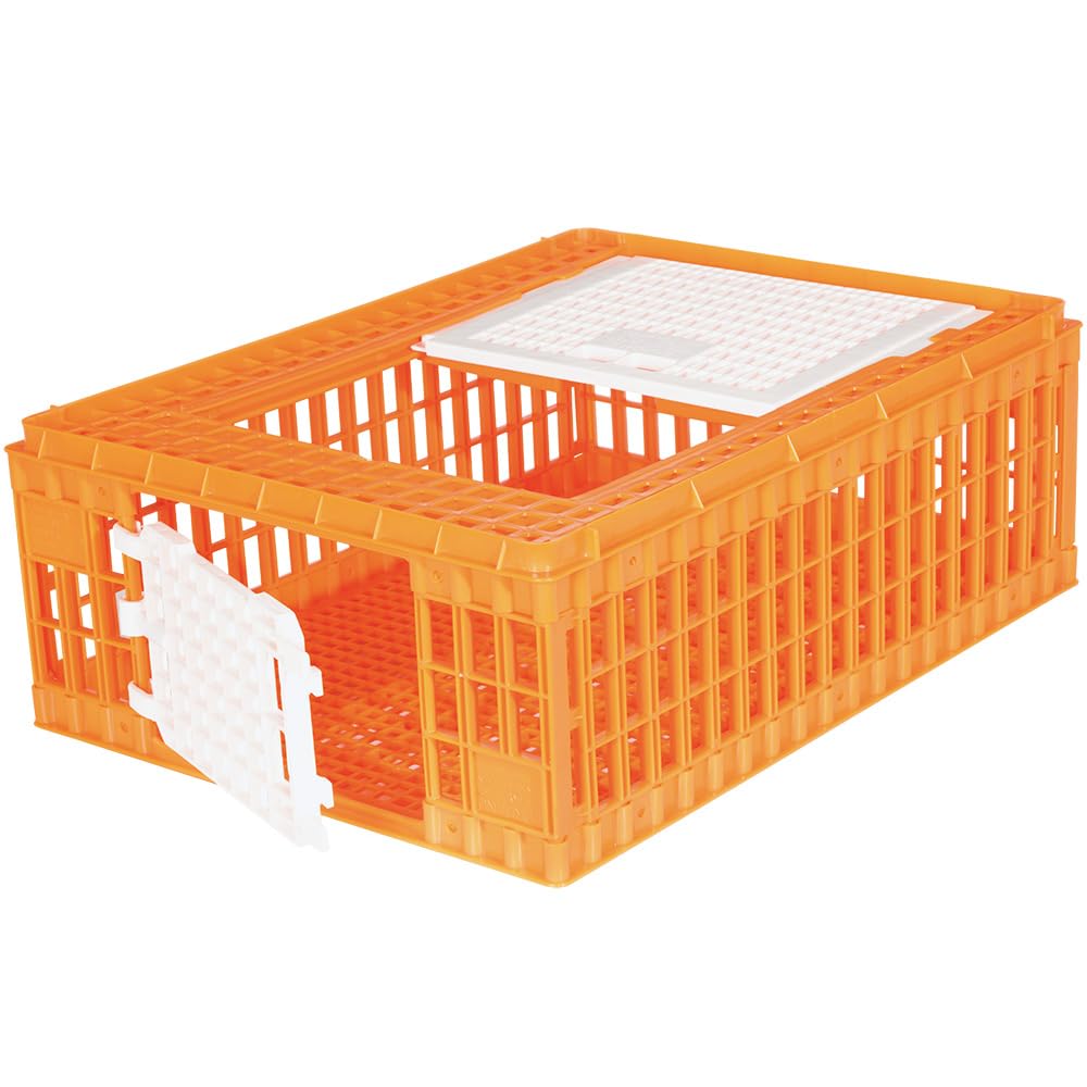product_img5