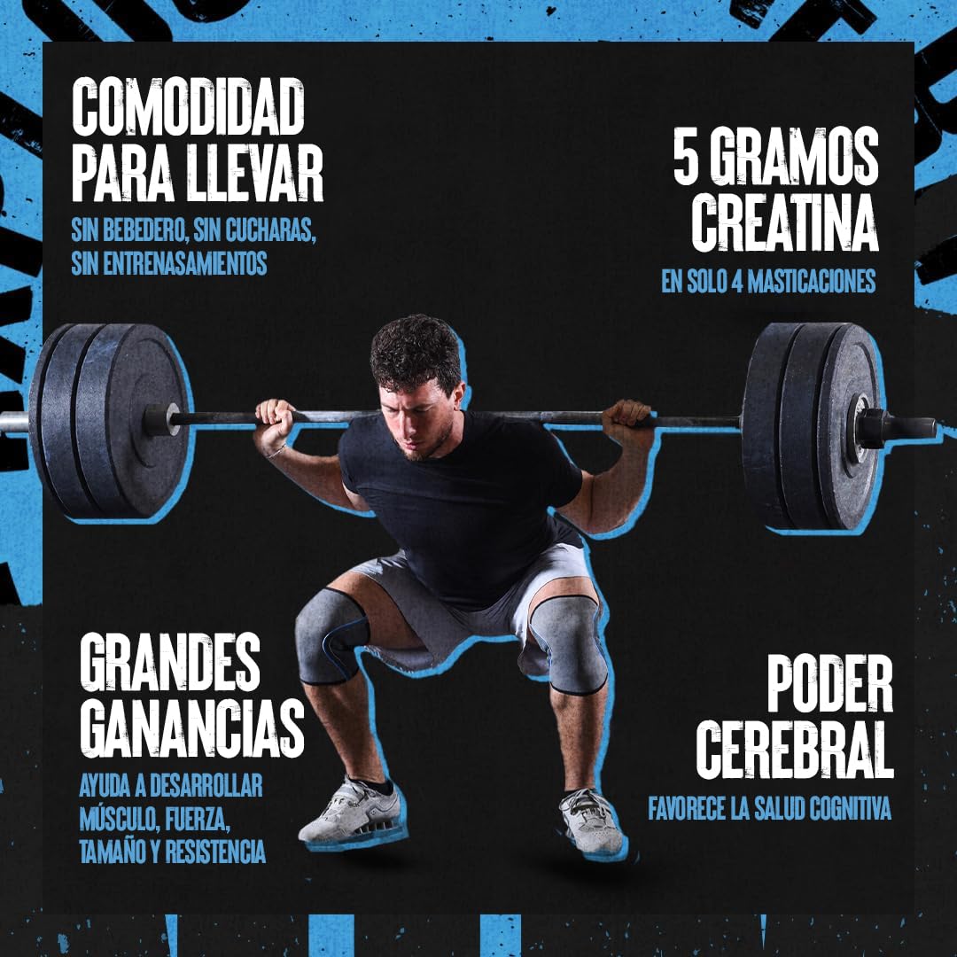 ANIMAL Creatine Performance Chew Tabs Grape - comprimidos masticables con 5 g de monohidrato de creatina por dosis y sal marina para mejorar su efecto - 120 comprimidos