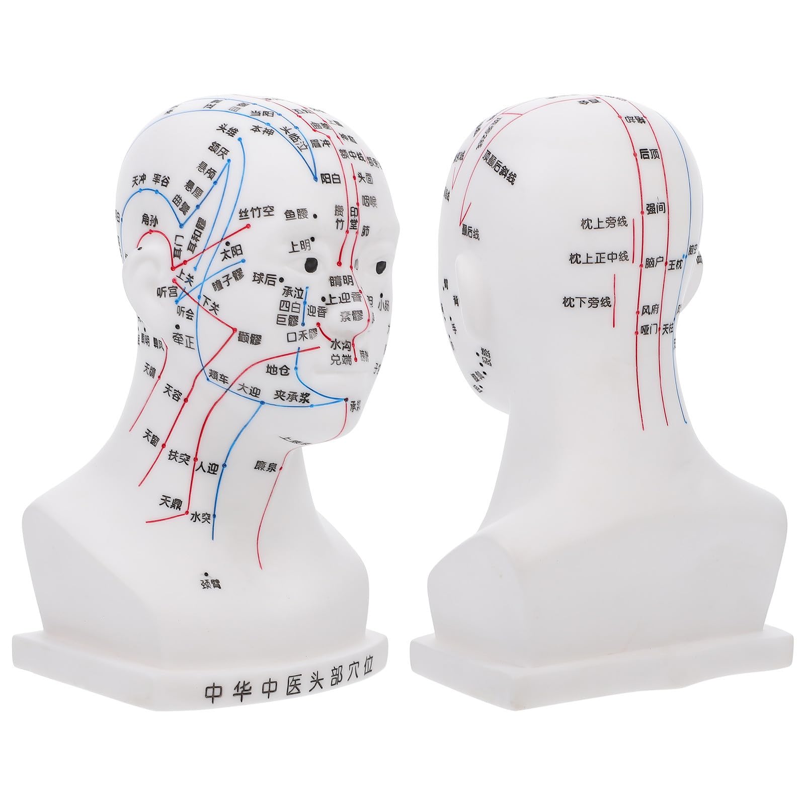 Medizinisches 20cm Akupunkturkopfmodell aus Pvc Modell Kopfmassage mit Ergonomischem Design als Lehrhilfe für Gesundheitsdemonstrationen im Klassenzimmer