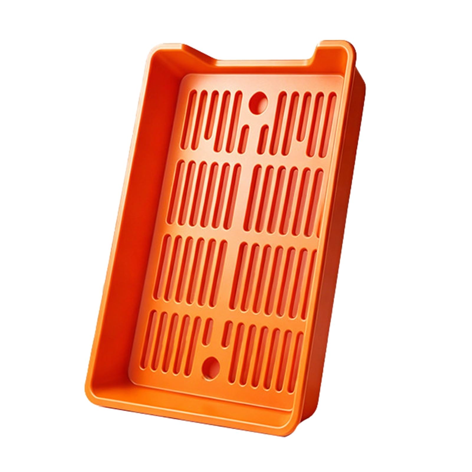 Double-layer PP Tray,Rectangular Barbecue,Removable Perforated Drain Plate,Suitable for Storing Fried Skewers(Color1)