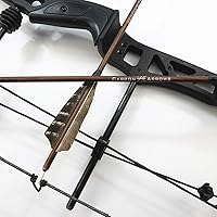 Vista 7 de Tiro con arco flechas de carbono de grano de madera eje 500 columna vertebral con plumas Fletching para caza tiro