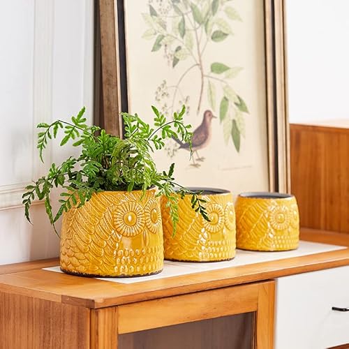 Planters For Indoor Plants, 6 Inch Glazed Vintage Ceramic Pots For Plants Unique Owl Shape Design Relief Ice Cracked Clay Pots For Plants With Drainage Hole For Garden Home Windowsill( 6 Inch-Yellow) #TOP3