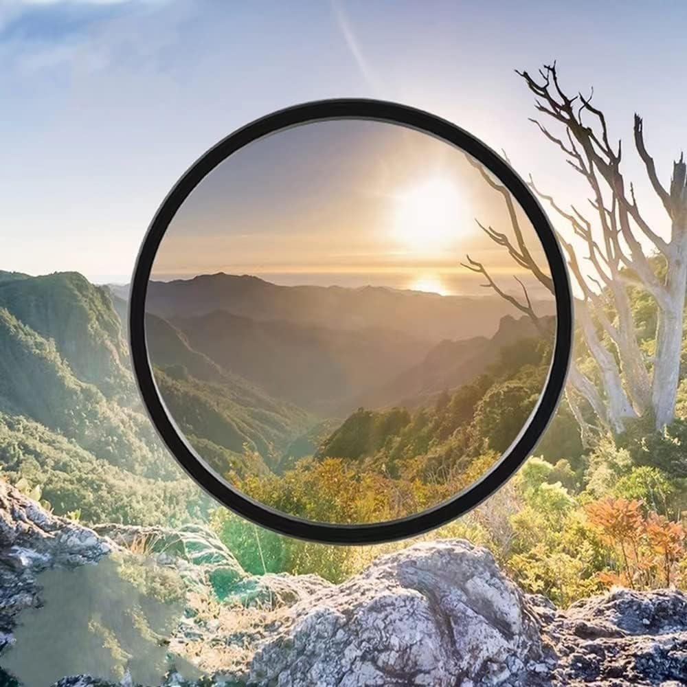 栞タグ2種付 南部水沢 岩戸賢一郎造 15型 丸型 龍文様 南部鉄瓶