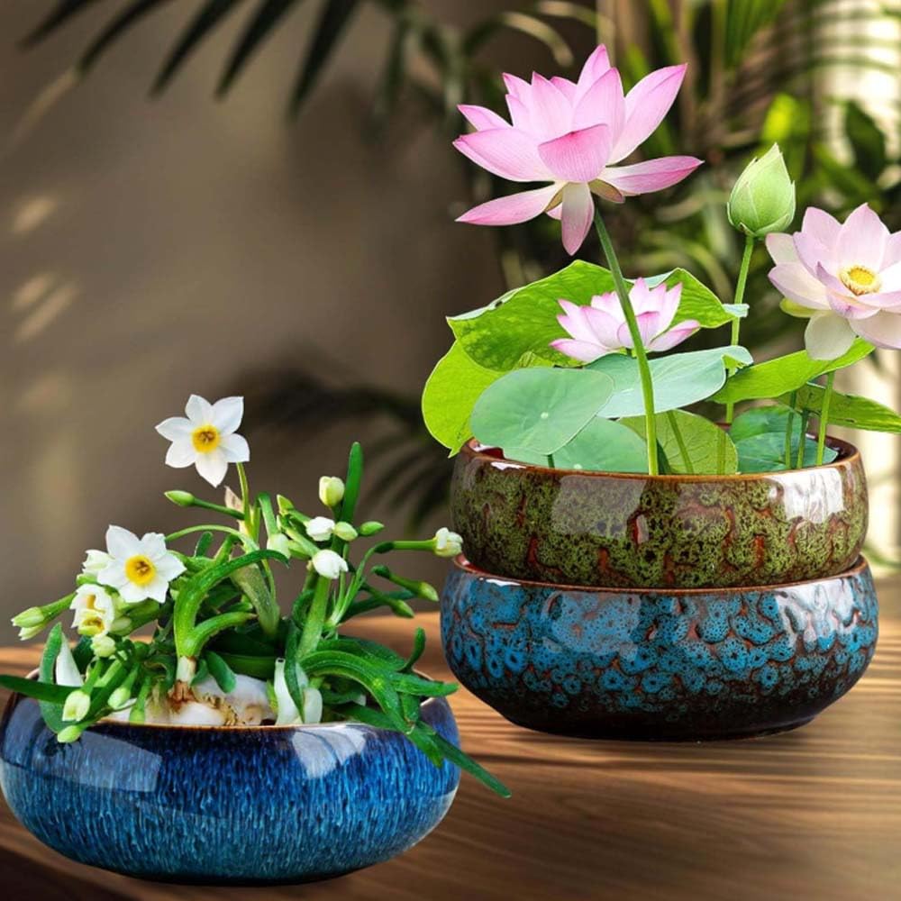 Leak-proof Plant Bowl Lotus Bowl Planter - Ceramic Water Planter For Indoor  Plants \u0026 Bonsai (Blue) Ceramic Water Plant Bowl, image size:1000x1000