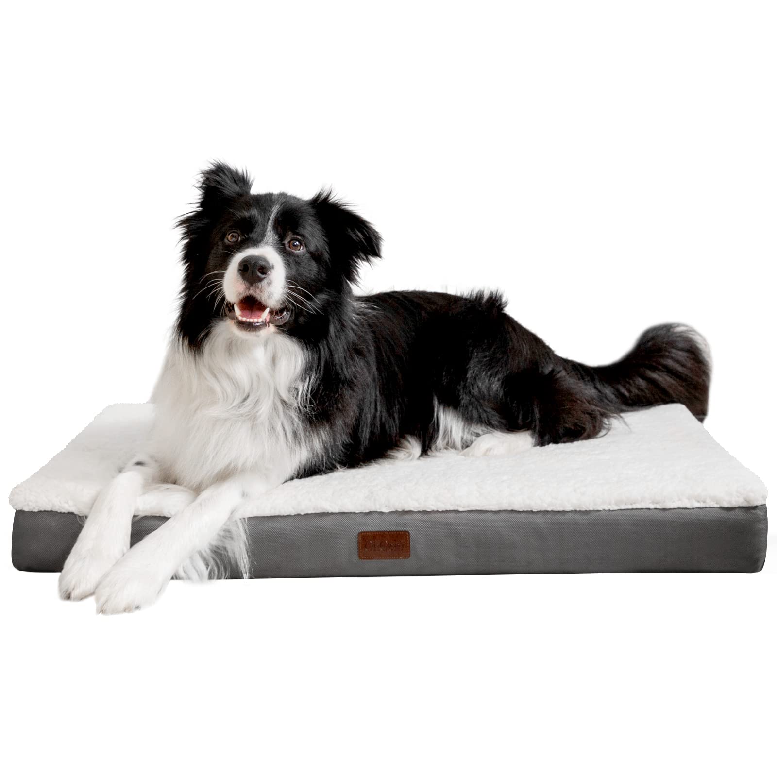 Why Does My Dog Bite His Bed When He Sleeps