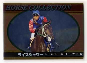 ライスシャワー　ホースレーシング　メモリアル　トレーディングカード ライスシャワー ホースレーシング メモリアル トレーディング