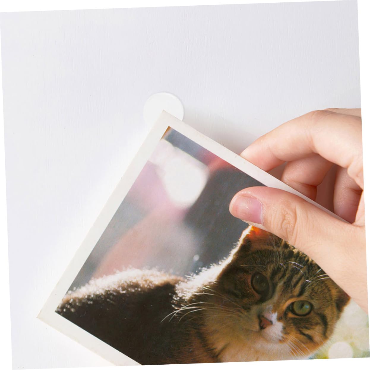 20sheet Dots Double-Sided Tape Balloon Stickers Self Adhesive Circle for Home Office Easy to Use