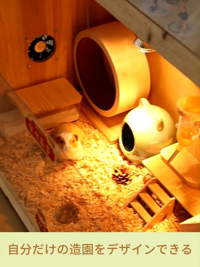 【爬虫類・ハムスター】アクリル飼育ケージ 楽天市場】ハムスター 爬虫類ケージの通販