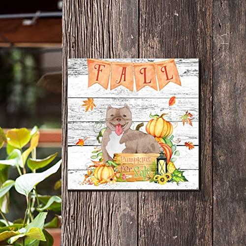 Plaque murale classique en forme de citrouille design rustique - 4