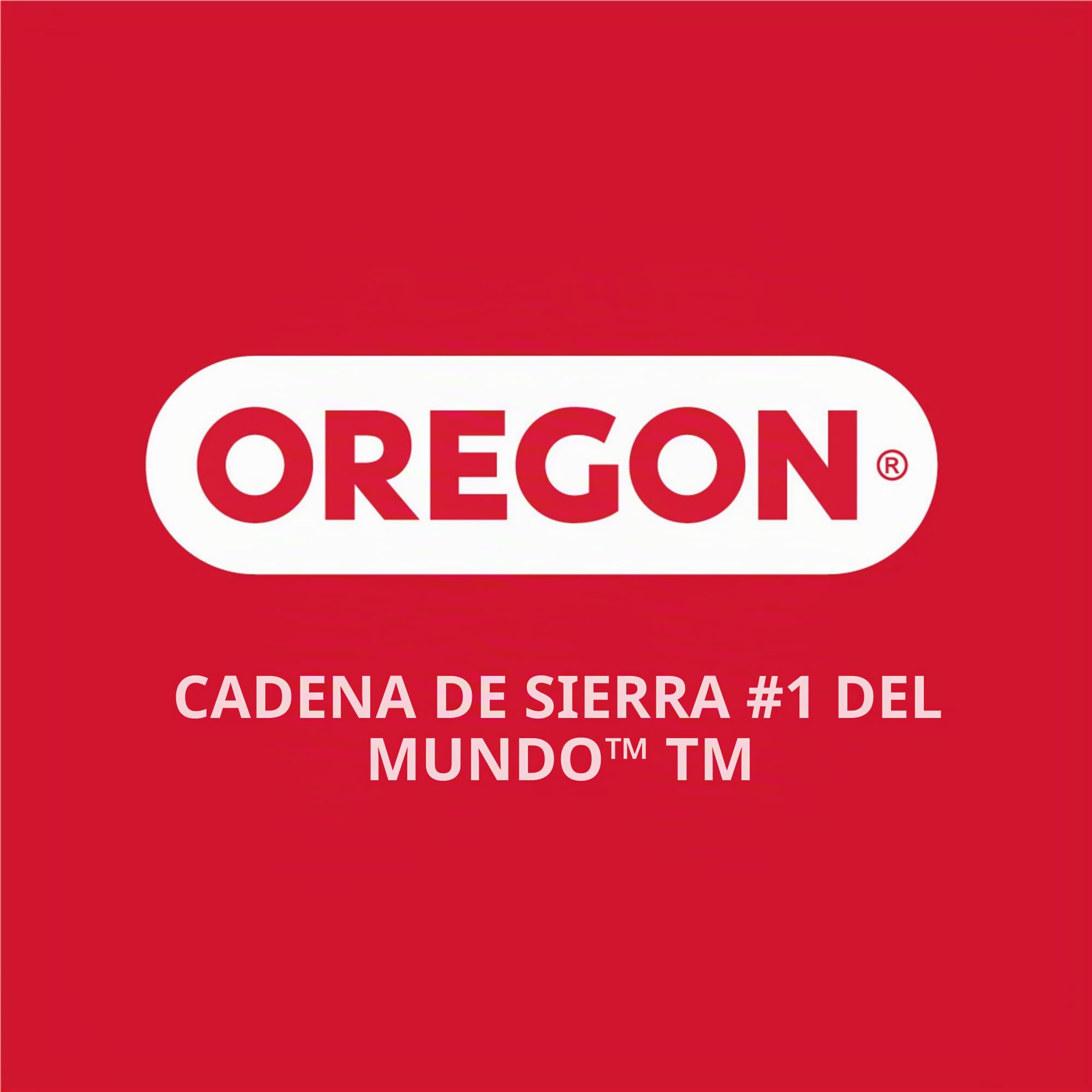 Barra Guía de Motosierra Oregon, Espada Reversible de 16", Barra de Motosierra de 40 cm, Soporte de Motor A041, Paso 3/8"LP, Calibre de 1,3 mm, Compatible con Husqvarna, Makita, Poulan y Más