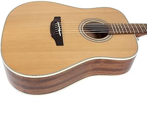 π₯ Best Fingerstyle Guitar 21 61uM3D6mINL. AC SL300