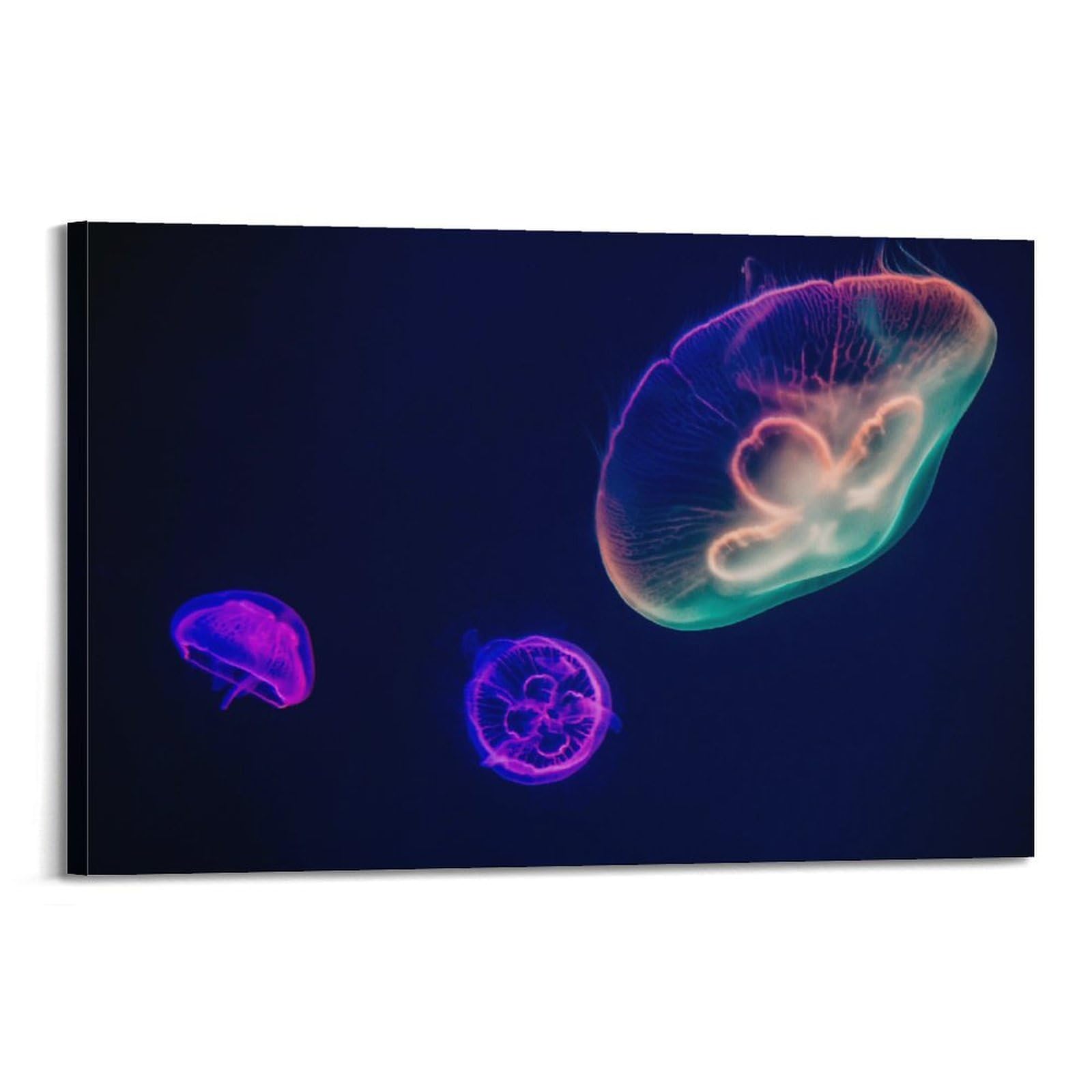 CXHJCA Sea Life Poster Gorgeous Jellyfish Poster Decorative Painting Canvas Wall Posters And Art Picture Print Modern Family Bedroom Decor Posters 24x36inch(60x90cm)